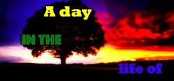 Um dia na vida de [v0.01]
