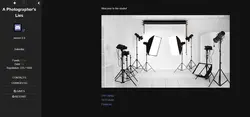 A Photographer's Lies game image: img0.webp