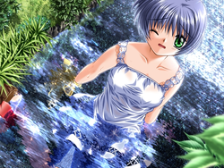 imagen del juego Air - Standard Edition: img0.webp