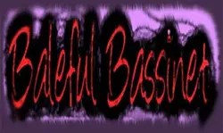 Basset chauve