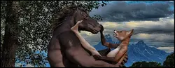 imagen del juego Barn Secrets: img1.webp