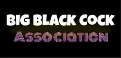 Big Black Cock Association
