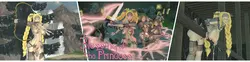 Bênção da Princesa
