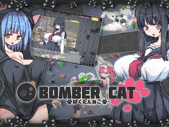 Bomber Cat main image