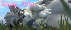 Camping com lobos