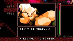 雲の城 DX ゲーム画像: img8.webp