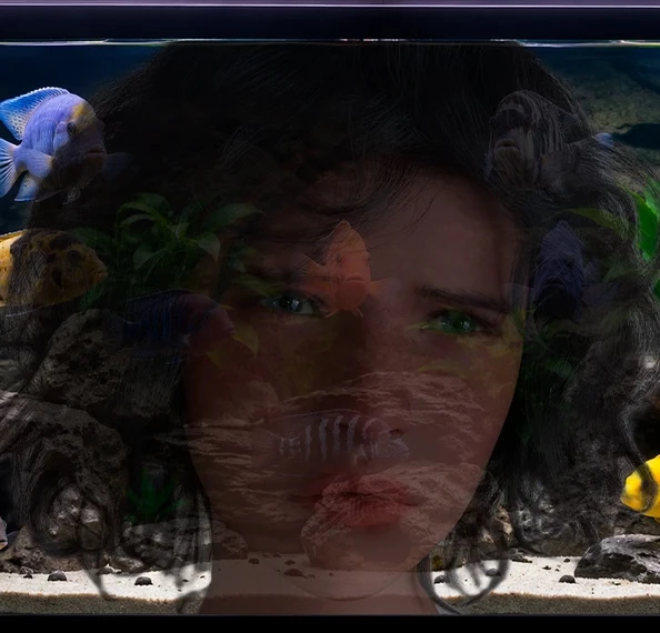{{gamename}} main image