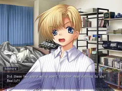 Clannad game image: img1.webp