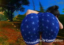 Clara Corruption [v1.0]