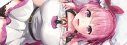 Colapis Eroworks 收藏软件
