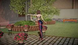imagen del juego Crossing Borders: img6.webp