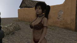 imagen del juego Desert Stalker: img5.webp