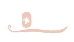 顿甊