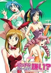 Ecchi na Bunnyさん wa Kirai?