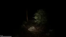 Egads' Dark Forest game image: img2.webp