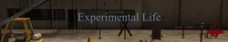Vida experimental