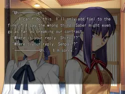 Fate/Stay Night game image: img3.webp