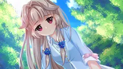 imagem do jogo Fox Hime: img1.webp