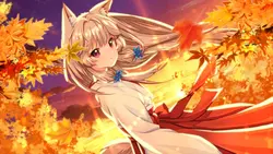 imagem do jogo Fox Hime: img2.webp