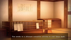 Gensou Brothel: Tengu Quarter game image: img0.webp