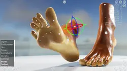 imagen del juego HAELE 3D - Feet Poser Pro: img0.webp