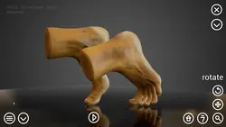 imagen del juego HAELE 3D - Feet Poser Pro: img15.webp