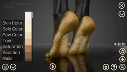 imagen del juego HAELE 3D - Feet Poser Pro: img17.webp