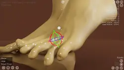 imagen del juego HAELE 3D - Feet Poser Pro: img22.webp