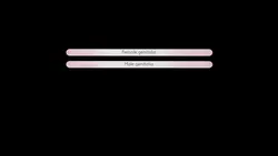 Herz und Hexen Spielbild: img0.webp