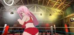 Hentai Fighters VR Spielbild: img4.webp
