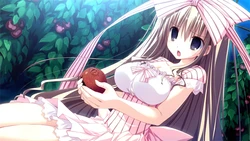 HimaNatsu: Of Churches, Sunflowers, and Long Summers game image: img2.webp