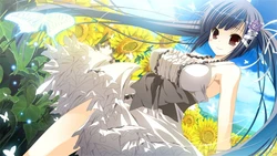 HimaNatsu: Of Churches, Sunflowers, and Long Summers game image: img6.webp