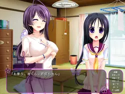 Hitozumaman!! ~Haranda Kunoichi Tsumamigoro~ game image: img0.webp