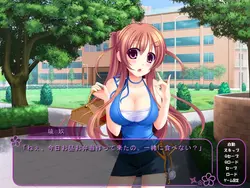 Hitozumaman!! ~Haranda Kunoichi Tsumamigoro~ game image: img1.webp