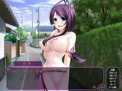 Hitozumaman!! ~Haranda Kunoichi Tsumamigoro~ game image: img2.webp