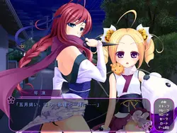 Hitozumaman!! ~Haranda Kunoichi Tsumamigoro~ game image: img4.webp