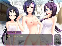 Hitozumaman!! ~Haranda Kunoichi Tsumamigoro~ game image: img6.webp