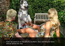 Wie trainieren Sie Ihren Hund Spielbild: img3.webp