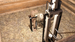 image de jeu Ferme laitière humaine: img6.webp