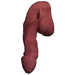 IrisC