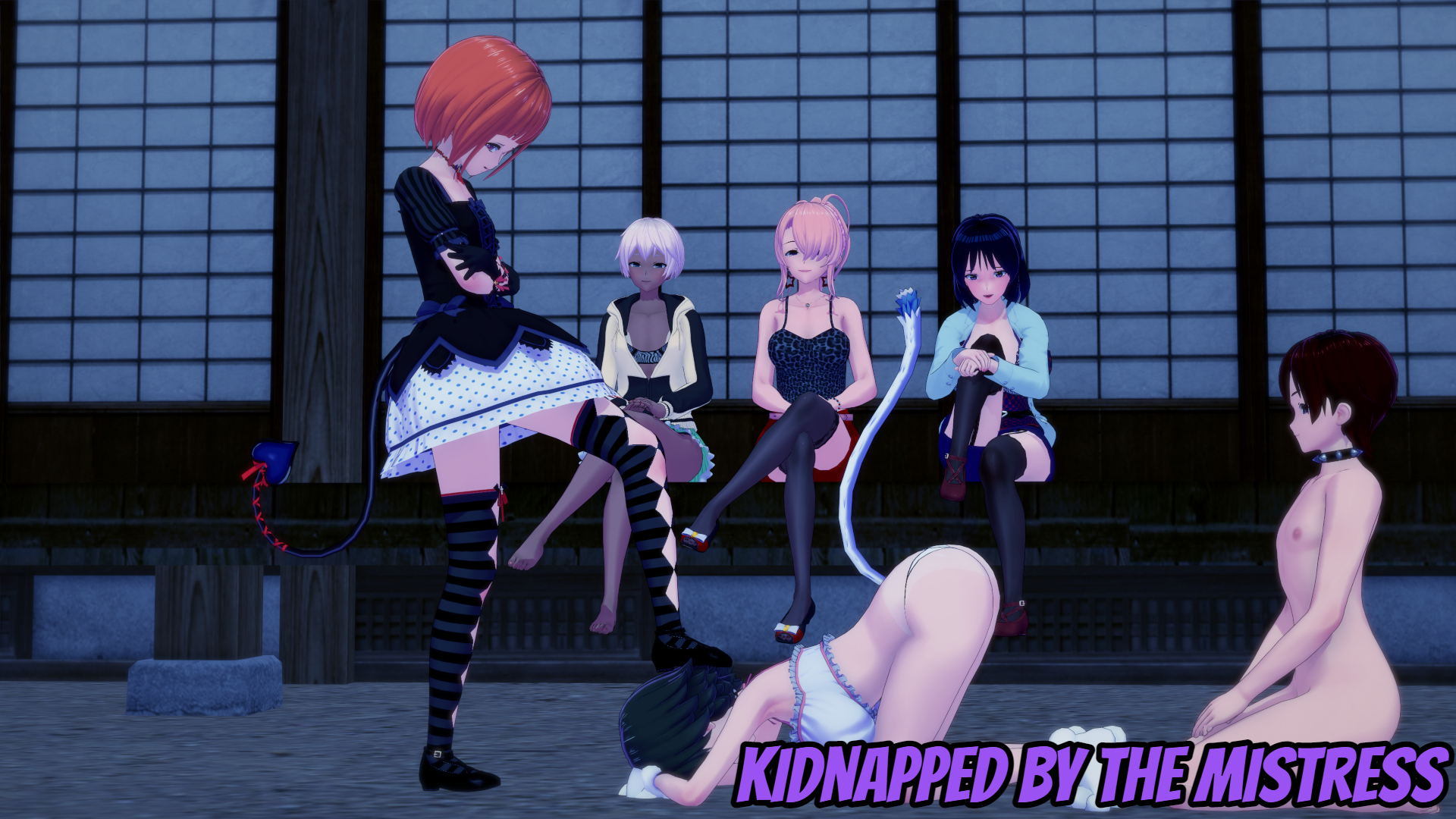 Kidnapped by the Mistress main image