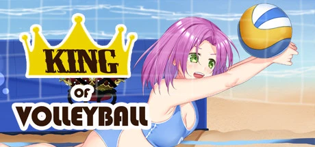King of Volleyball main image