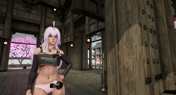 imagem do jogo Kunoichi 