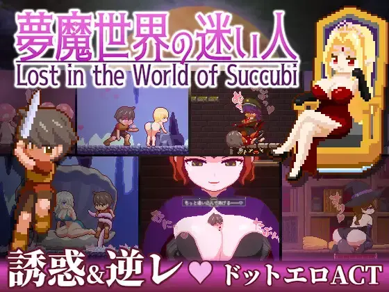 Lost in the World of Succubi main image