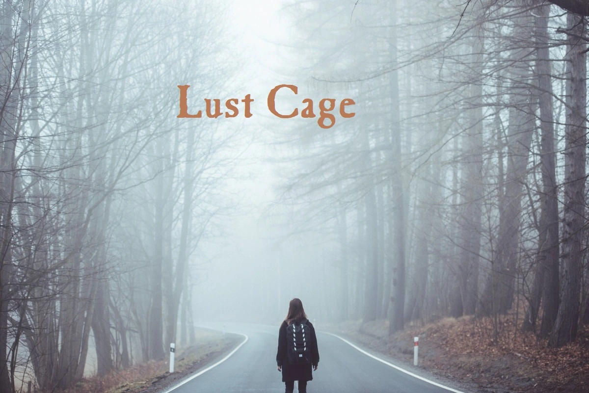 Lust Cage main image