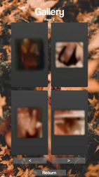 Lustful 電話 ゲーム画像: img11.webp