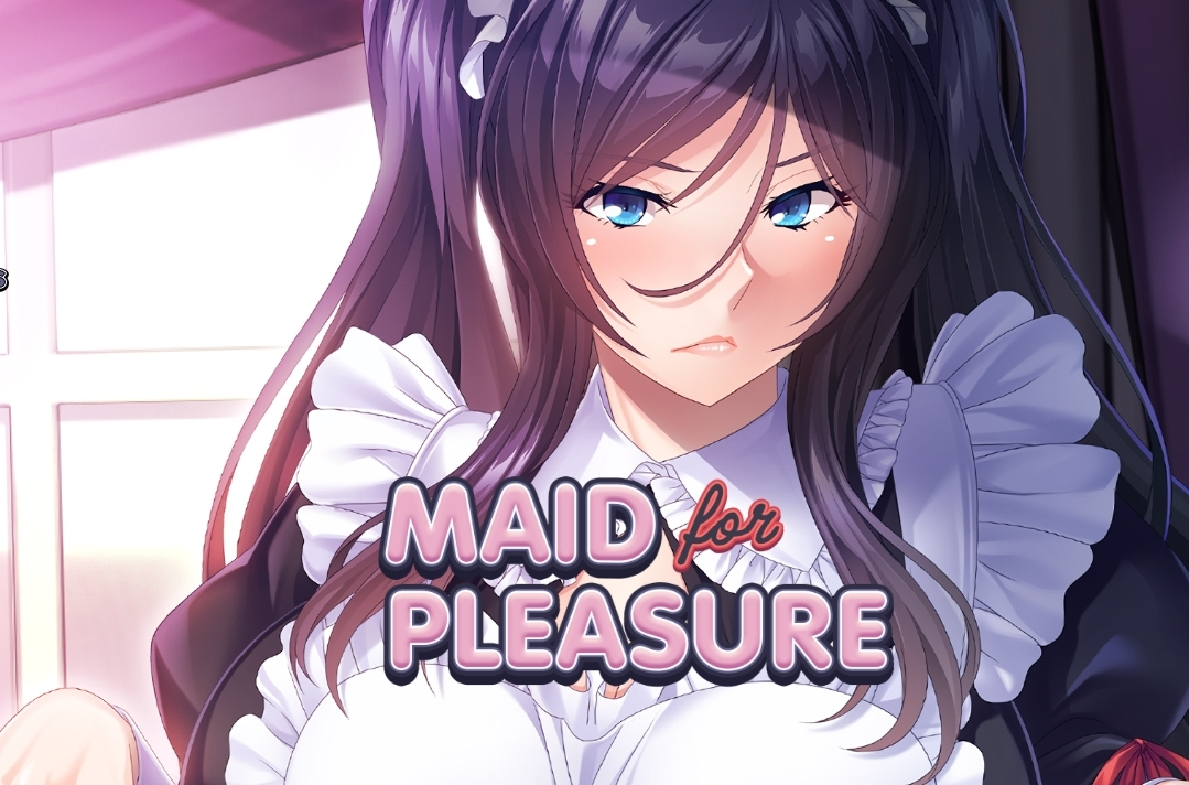 Maid for Pleasure main image