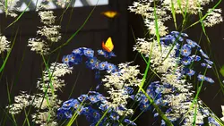 Melissa's Adventures game image: img0.webp