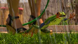 Melissa's Adventures game image: img1.webp
