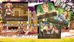 Meria's Adventure ～フェスティ・アドベンチャー～ ゲーム画像: img2.webp